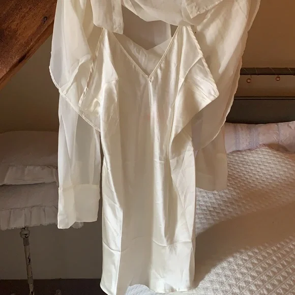 Free People Renata Silk Dress (Dress only) - Picture 9 of 13